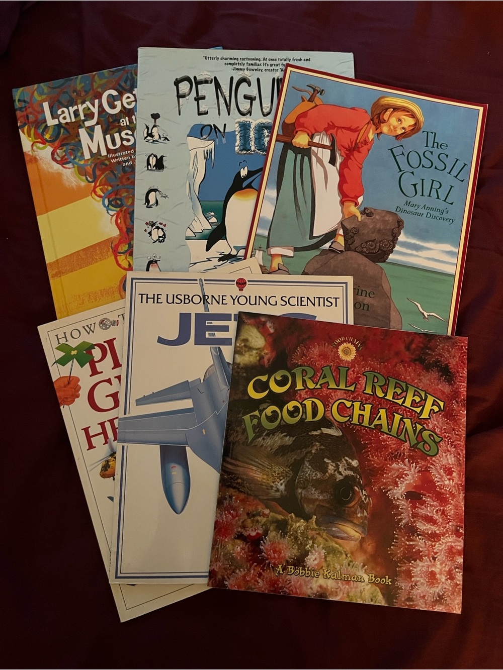 Children's Educational Book Lot - Coral Reef Food Chains + More